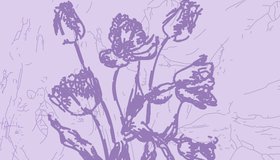 Минимализм. Canto Ostinato*