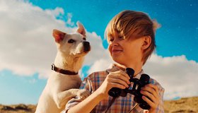 Моя собака — космонавт