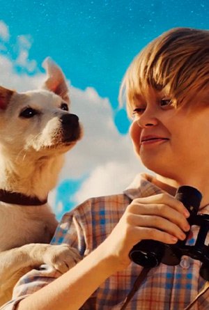 Моя собака — космонавт