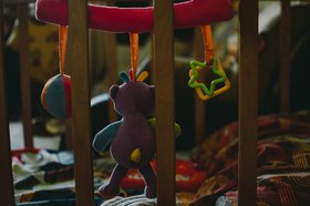 Игрушка. Фото Никиты Пяткова, IRK.ru