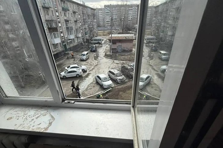 Антимоскитная сетка на земле. Фото пресс-службы СУ СКР по Иркутской области