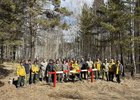Участники уборки в лесу. Фото пресс-службы правительства Иркутской области