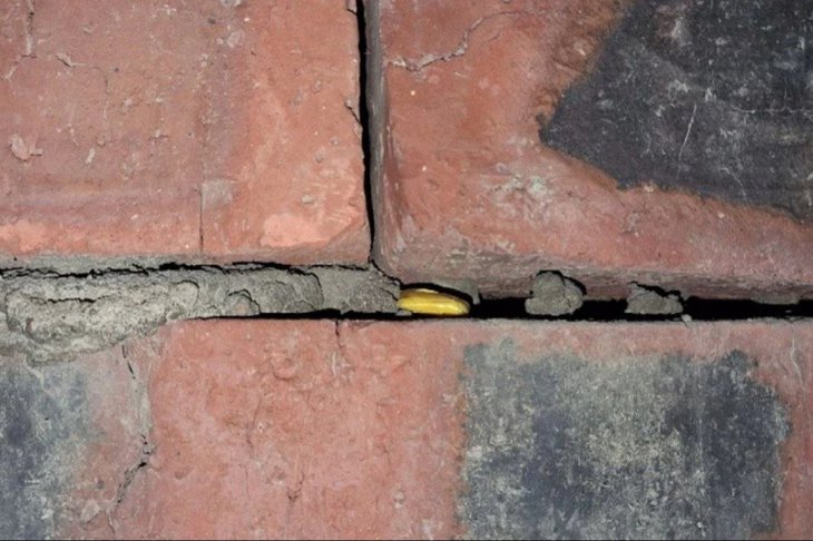 Закладка. Фото пресс-службы ГУ МВД России по Иркутской области