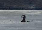 Подготовка к заплыву. Фото взято из телеграм-канала «ЛИТВИН»
