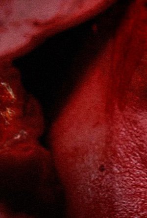 Мясо убивает