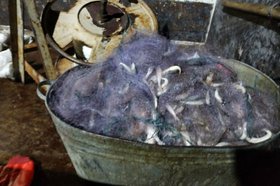 Пойманая рыба. Фото пресс-службы транспортной полиции Иркутской области