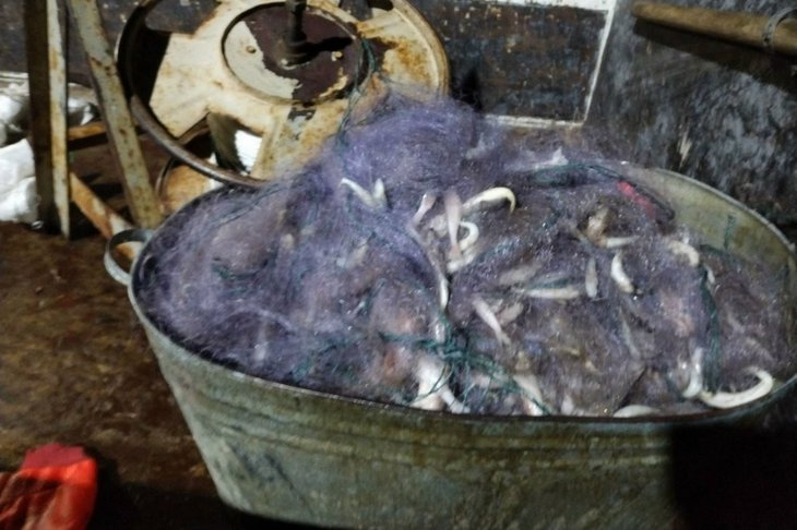 Пойманая рыба. Фото пресс-службы транспортной полиции Иркутской области