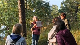 Островок природы среди каменных джунглей