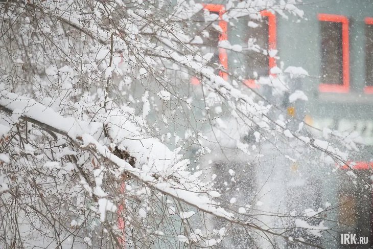 Снег. Фото Маргариты Романовой, IRK.ru