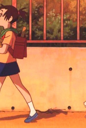 Возвращение кота