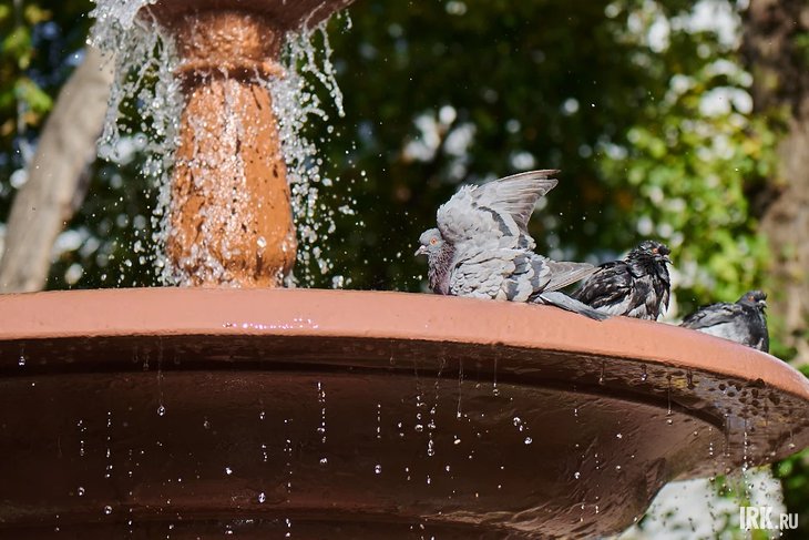 Фонтан на острове Юность. Фото Маргариты Романовой, IRK.ru