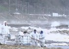 Ликвидация последствий разлива нефтепродуктов. Фото оперштаба Краснодарского края