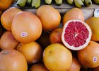 Грейпфруты. Фото Никиты Пяткова из архива IRK.ru