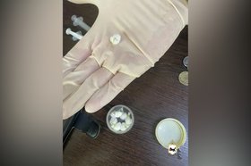 Изьятые наркотики. Фото пресс-службы ГУ МВД России по Иркутской области