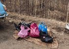 Пакеты с мясом. Фото из телеграм-канала Охотнадзора