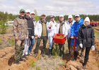 «Сад памяти». Фото IRK.ru