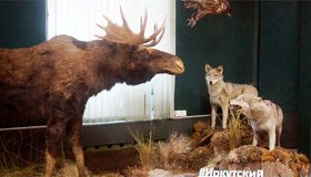 «Ночь музеев» в отделе природы Иркутского областного краеведческого музея