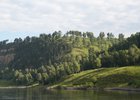 Лес. Фото пресс-службы правительства Иркутской области