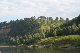 Лес. Фото пресс-службы правительства Иркутской области