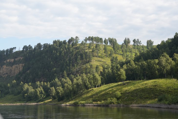 Лес. Фото пресс-службы правительства Иркутской области