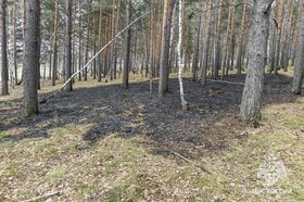 Последствия пожара в лесу. Фото ГУ МЧС России по Иркутской области
