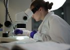 Учёный. Фото пресс-службы правительства Иркутской области