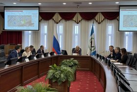 Рабочая группа. Фото пресс-службы правительства Иркутской области