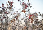 Фото Маргариты Романовой, из архива IRK.ru