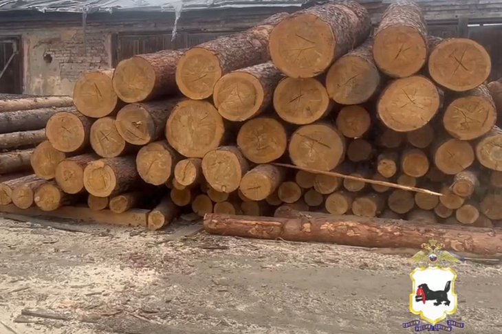 Древесина. Скриншот видео ГУ МВД России по Иркутской области