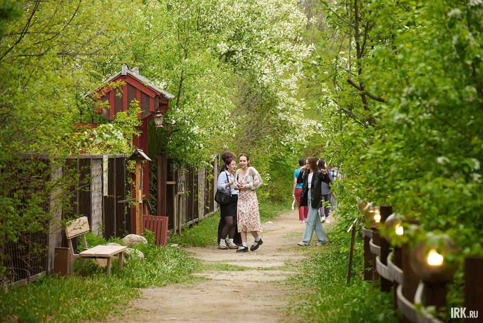 Фото: Маргарита Романова, архив IRK.ru Фото: Маргарита Романова, архив IRK.ru