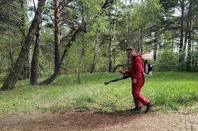 Противоклещевая обработка. Фото пресс-службы администрации Иркутска