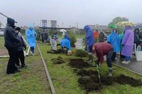 Посадка деревьев. Фото пресс-службы администрации Иркутска