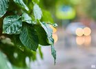 Фото Маргариты Романовой из архива IRK.ru