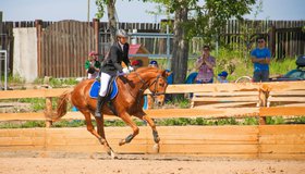 Конные соревнования на Кубок Крылатого Киннара