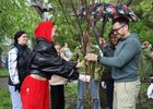 Высадка деревьев. Фото пресс-службы администрации Иркутска