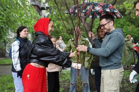 Высадка деревьев. Фото пресс-службы администрации Иркутска
