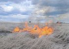 Горящая трава. Фото пресс-службы ГУ МЧС России по Иркутской области