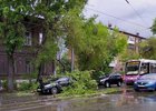Упавшая на машину ветка дерева. Фото очевидцев
