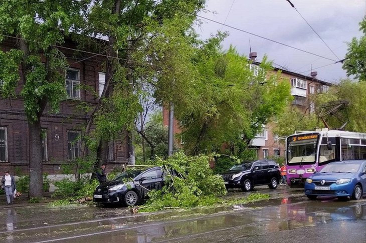 Упавшая на машину ветка дерева. Фото очевидцев
