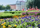 Клумба. Фото Маргариты Романовой, IRK.ru