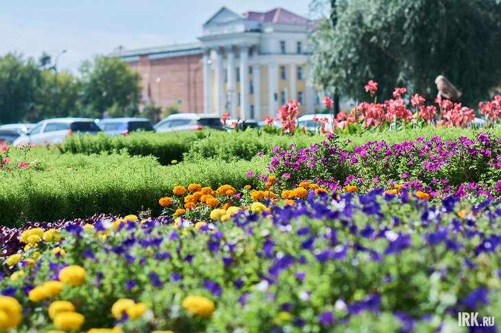 Клумба. Фото Маргариты Романовой, IRK.ru