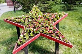 Клумба. Фото пресс-службы администрации Иркутска