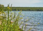 Лето. Фото Маргариты Романовой, IRK.ru