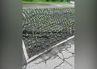 Поврежденные клумбы. Фото взято из группы «МКУ г.Иркутска ''Городская cреда''» социальной сети «ВКонтакте»