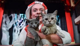 Дмитрий Куклачёв. Спектакль «Котобум» (Ангарск)