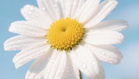 День семьи, любви и верности и Иркутском областном краеведческом музее