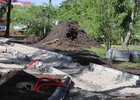 Работы в Каштаковской роще. Фото пресс-службы администрации Иркутска