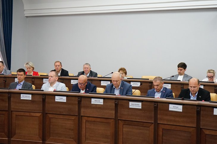 Заседание. Фото пресс-службы думы Иркутска