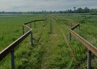 Тропа. Фото пресс-службы администрации Иркутска