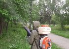 Обработка деревьев. Фото пресс-службы администрации Иркутска